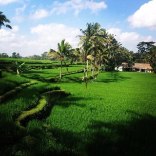 Vila Heaven Ubud 18